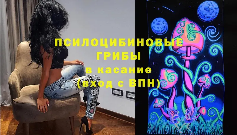 Галлюциногенные грибы Cubensis  Барабинск 